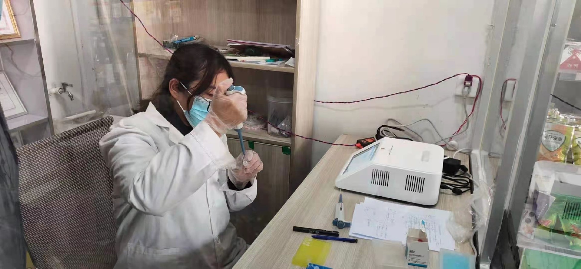 非洲豬瘟 PCR 檢測(cè)儀檢測(cè)工作畫(huà)面